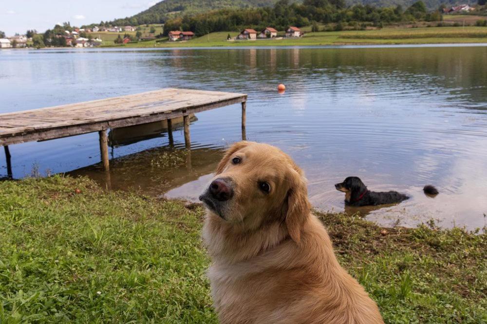 Villa Kuca Za Odmor Jezero Ogulin Exterior foto